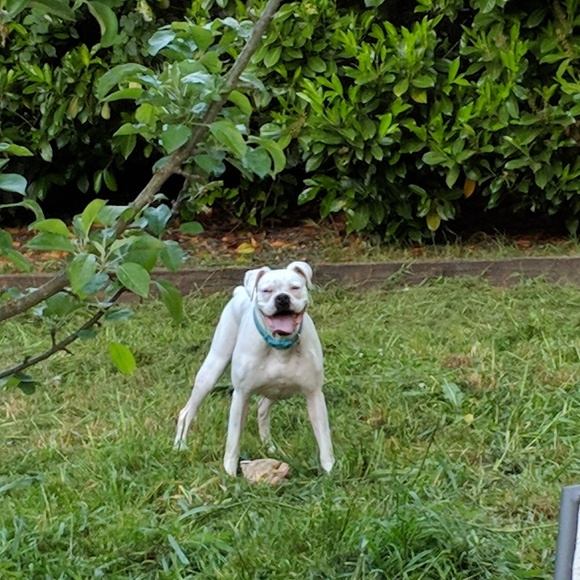 Click Here for Details - Picture 2 of 6